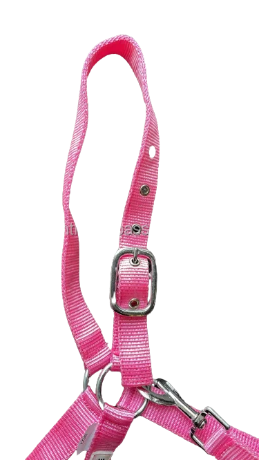 Nylon Halter Long Lasting Fine  Horse Halter Manufacturer OEM Style Color Material Customize Wholesale Price