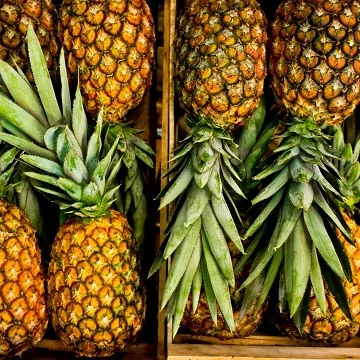 Fresh Pineapples6.jpg