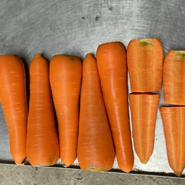 Высококачественный Свежий Оранжевый цвет моркови из Вьетнама, Лучшая цена для свежих импортеров овощей