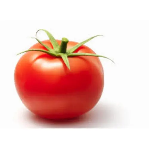 Fresh Tomatoes For Sale - FRESH TOMATOES from Philippines- Organic Fresh Tomatoes Wholesale Price