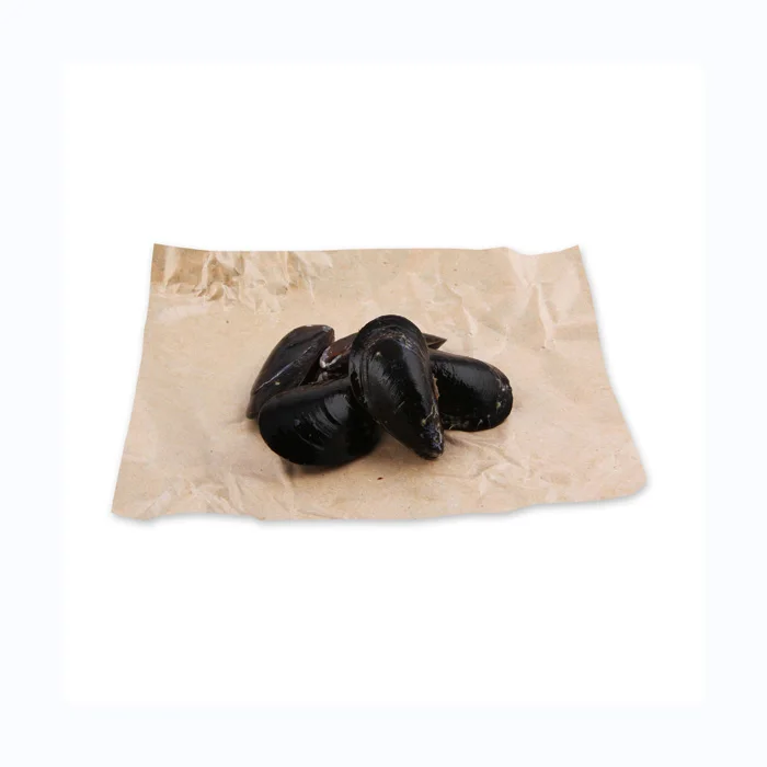 Top Quality Frozen Shellfish Mussels for sale
