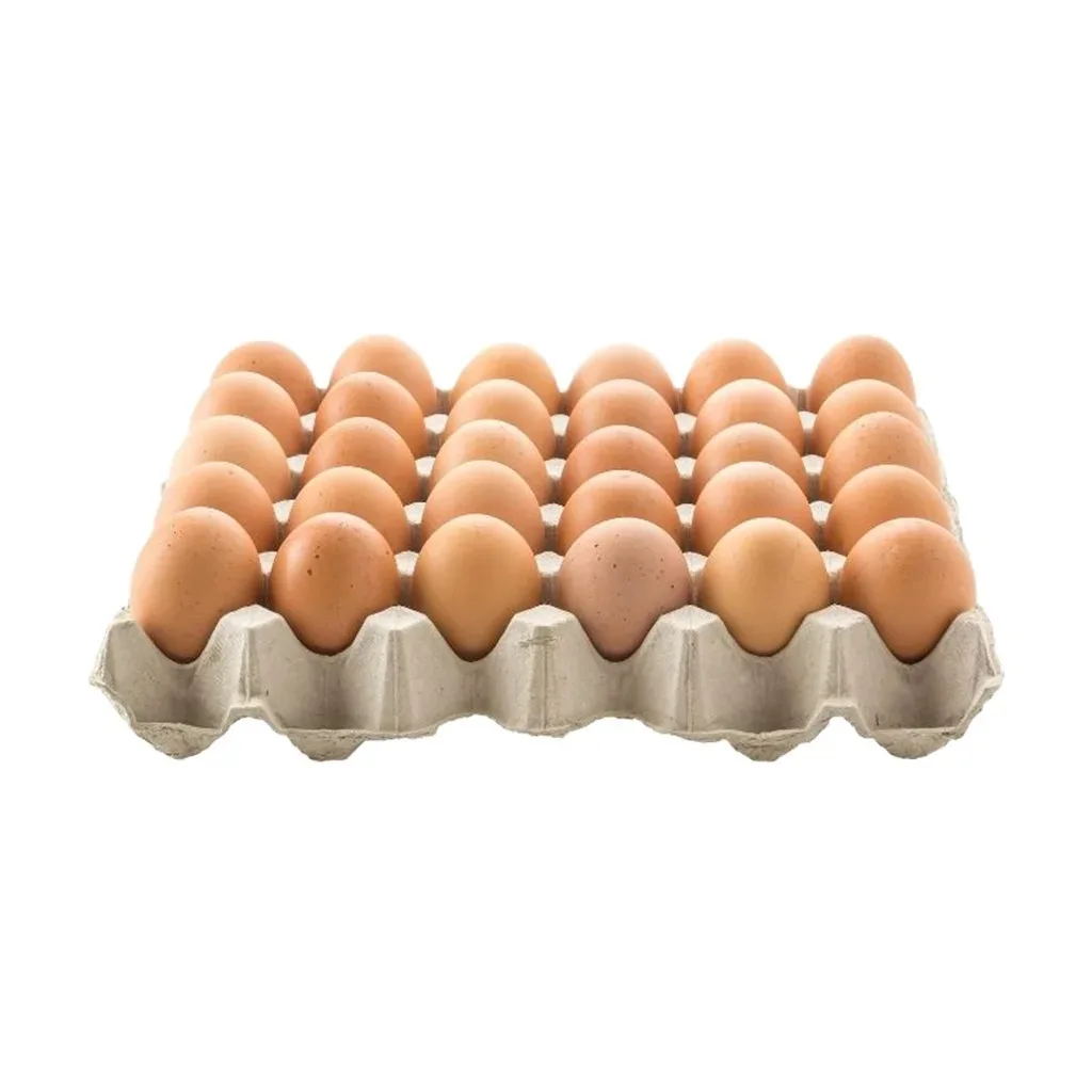 Good Quality Table Eggs and Broiler Hatching Eggs Ross 308 and Cobb 500 and Chicken Fresh Table Eggs Available