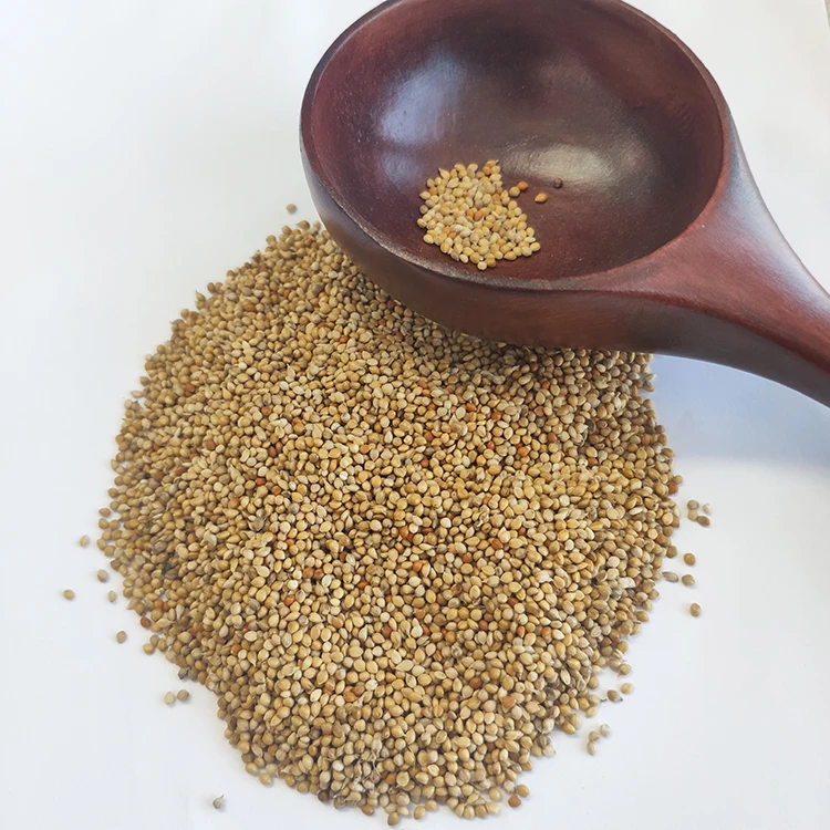 Protein-Rich Organic Foxtail Millet Gluten-free Grain Yellow Millet For Breakfast