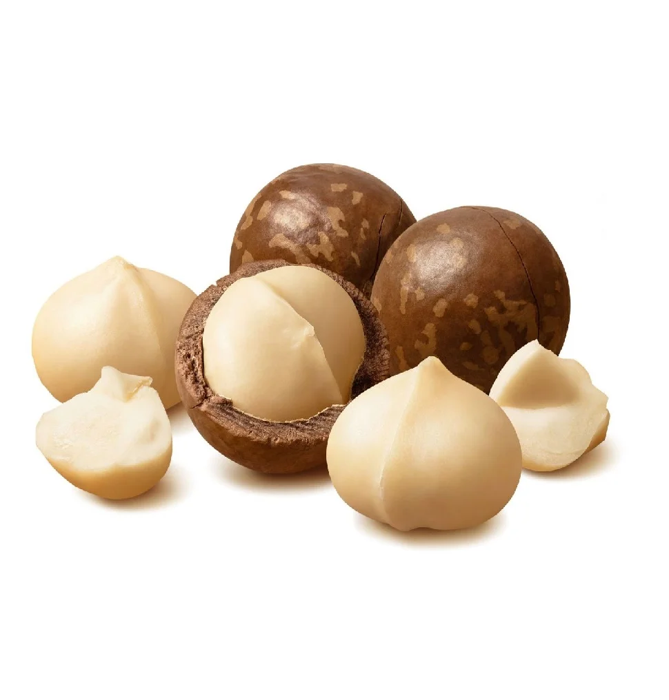 Macadamia Nuts Wholesale High Quality Organic Ready To Eat Healthy Food. Oem Service From Manufacturer