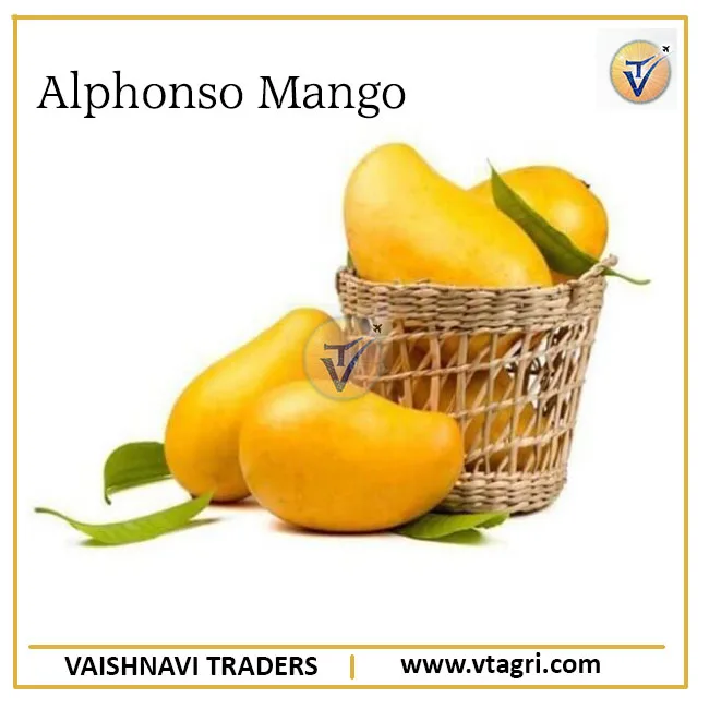 Quality Indian Sweet Alphonsa mangoes - Indian Mango Exporter