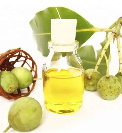 High Purity Tamanu Oil Extracted from Tamanu Seeds Wholesale Suppliers and Exporters from SouthIndia Available at Cheapest Price