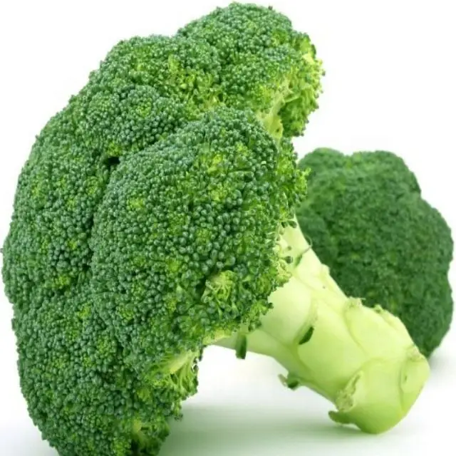 Export fresh broccoli cheap price good quality broccoli wholesale fresh vegetables