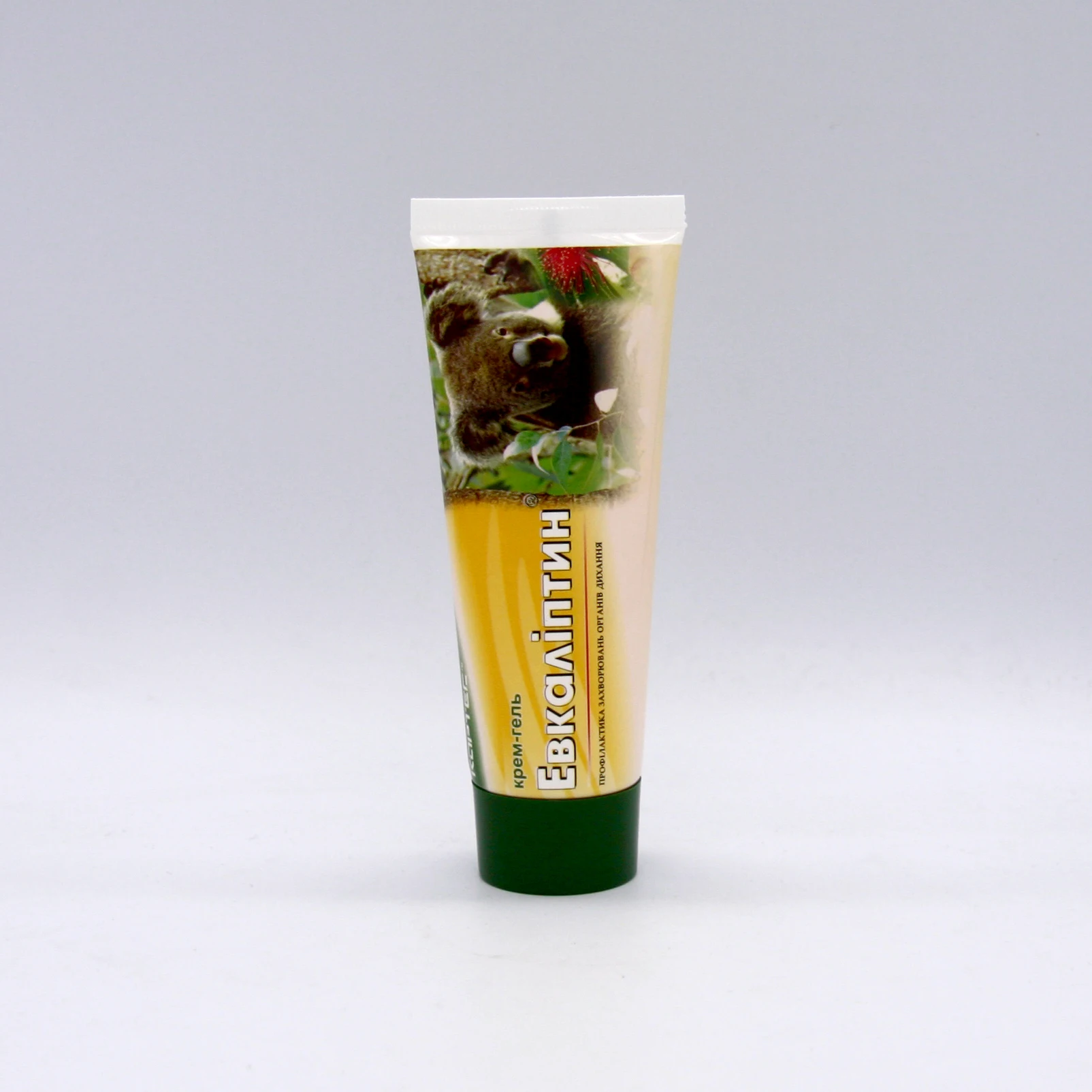 Therapeutic and Anti-Inflammatory Eucalyptin Cream Gel Ointment for Wholesale Bulk Buyers