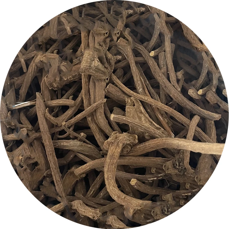 Herbs used as an anti-inflammatory  anti-microbial agent radix inulae elecampane Inula helenium L. Inula racemosa