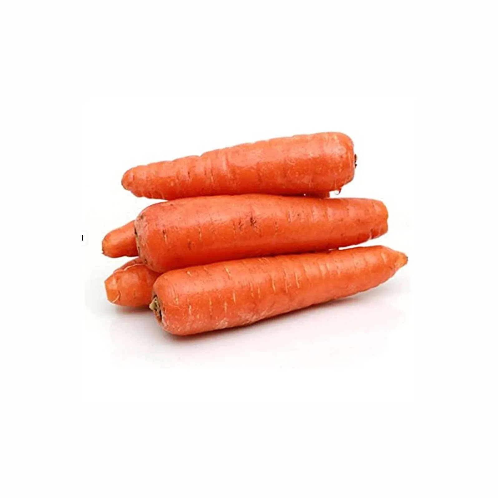 Fresh Carrot / Clean Carrot in Carton / Carrot wholesaler Price Fresh Carrot From Vegetables Fresh Carrots Seed For Wholesale Ex
