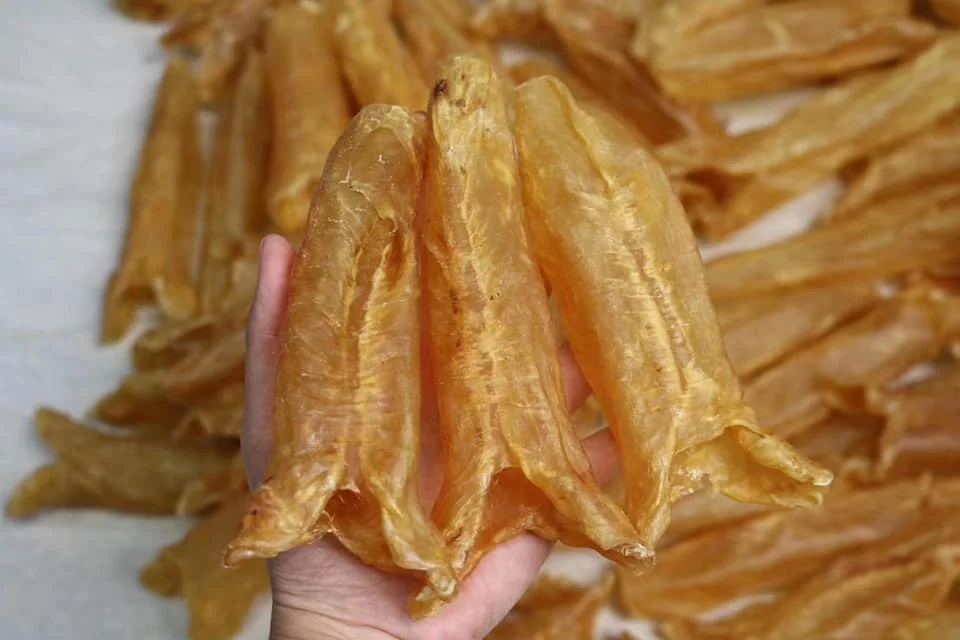 Top Qulaity Koral Fish Maw 100% Natural Dried Sea  Food from Bangladesh Sea Bass Fish Maw EEL Quality Fish Maw