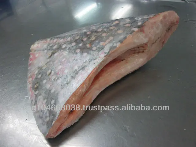 Frozen Fish Fresh Tilapia Supplier Block Bulk Style Packaging Package Weight Lbs Shelf Origin Moonfish HG - Frozen Sea
