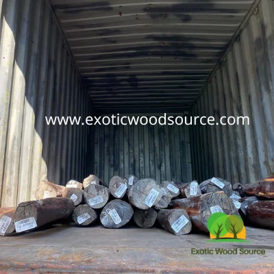 Редкие экзотические бревна из змеиной древесины ограниченные в наличии для коллекционеров взыскательных деревообрабатывающих древесину лиственных пород с круглым рисунком