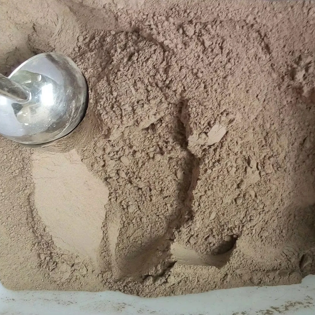 Dried Noni Powder 50 250 1000 grams noni powder pouch 8oz 226g Vietnam noni powder high quality cheap price ANGLE