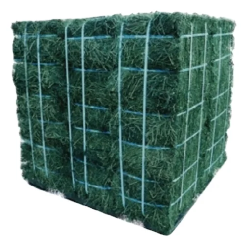 Alfalfa hay.jpg