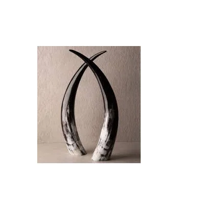 Natural pairs horn customized size cheap price and black and knob and look design piece and natural craft