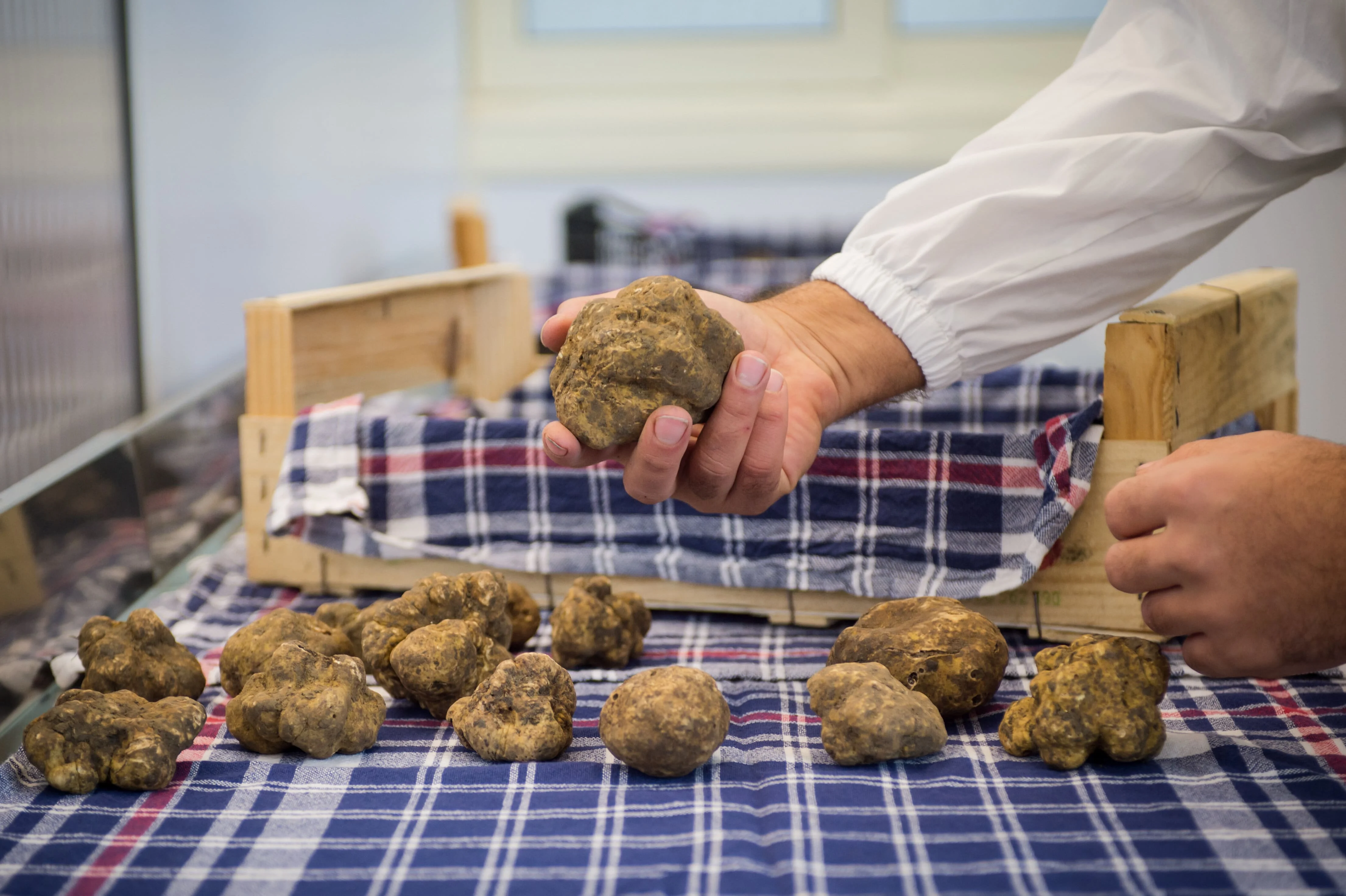 Высококачественное стекло ручной работы в бутылках белое трюфельное масло 60 мл сделано Италии вкусно и деликатно для ваших рецептов
