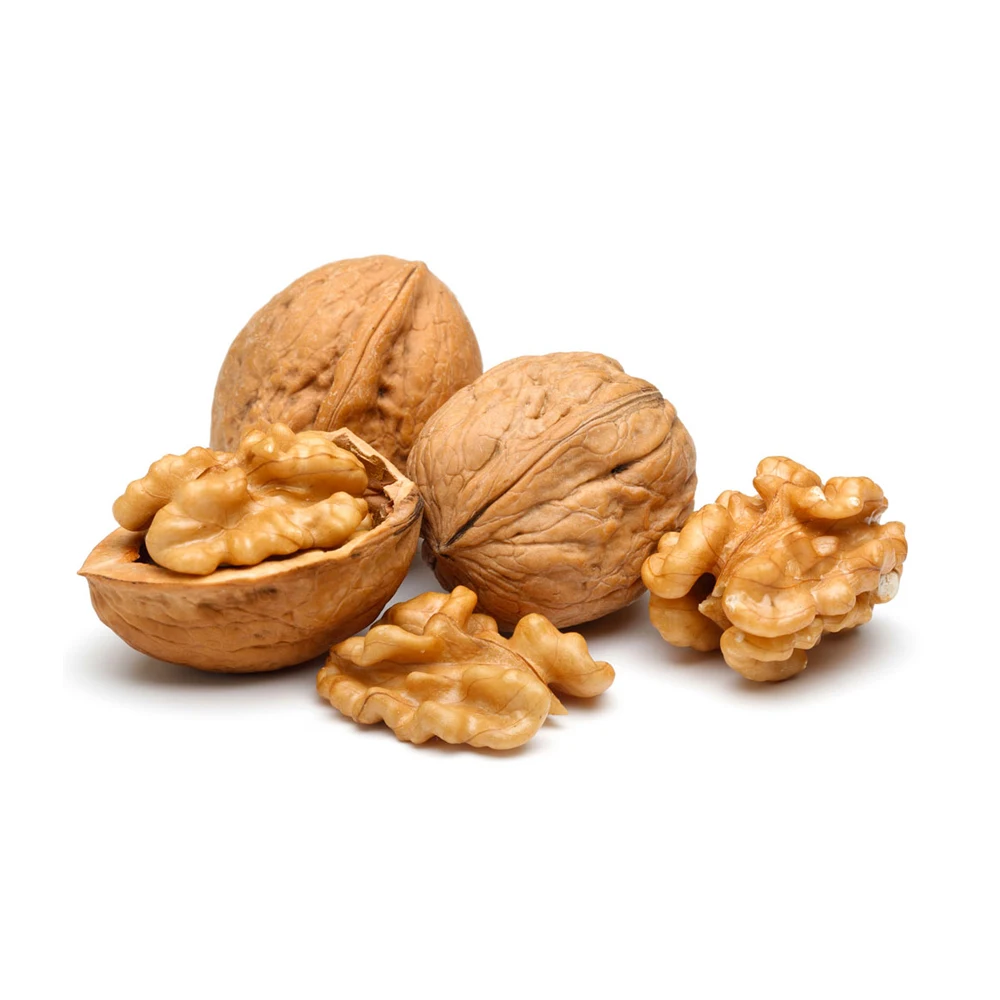 China cheap prices raw walnut shelled dry walnuts for sale