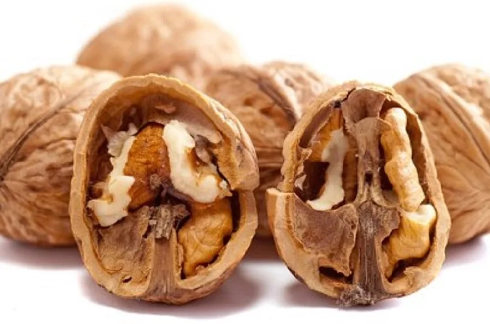 Best Price Unshelled Walnuts Walnuts And Walnut Kernels