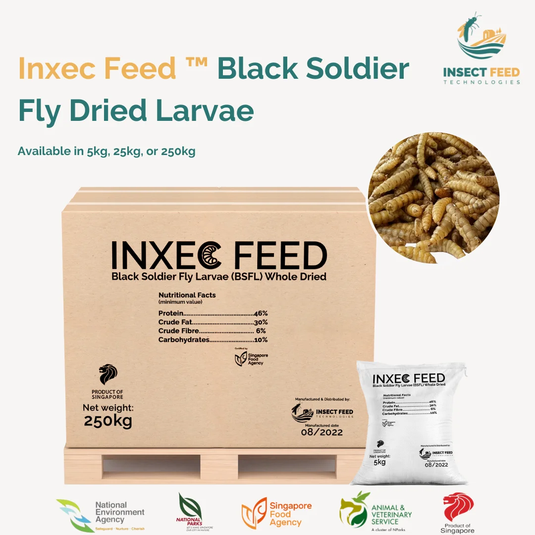 Wholesale High Protein Natural Black Soldier Fly Dried Larvae for Animal Fish Chicken Poultry Pet Feed  Vital Fatty Amino Acid