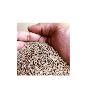 Cumin Seed Available in Different Quality and Competitive Price From Brazil  in Customize Packing Natural Fennel Seed for Sale