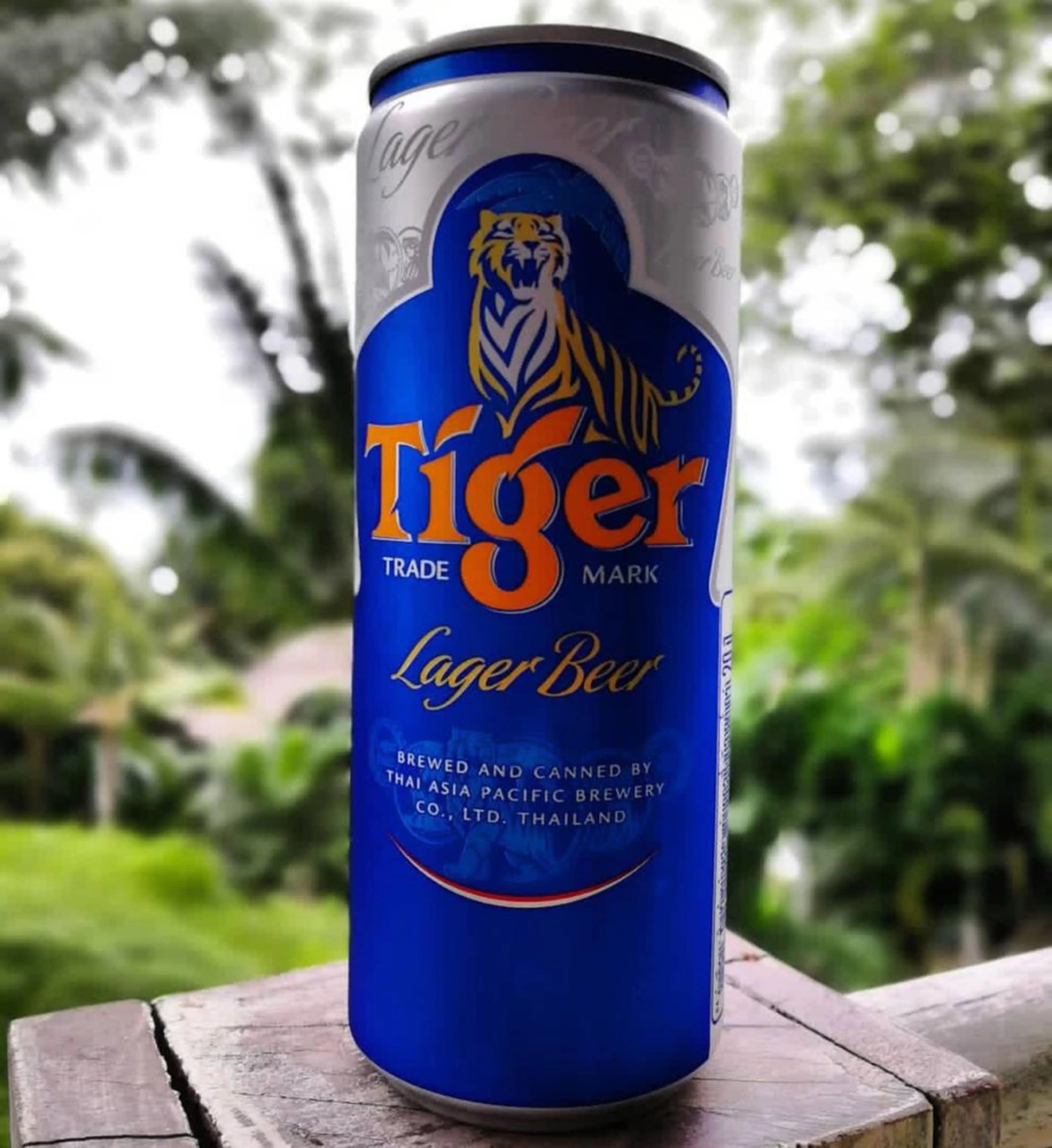 QUALITY TIGER BEER AVAILABLE for SALE
