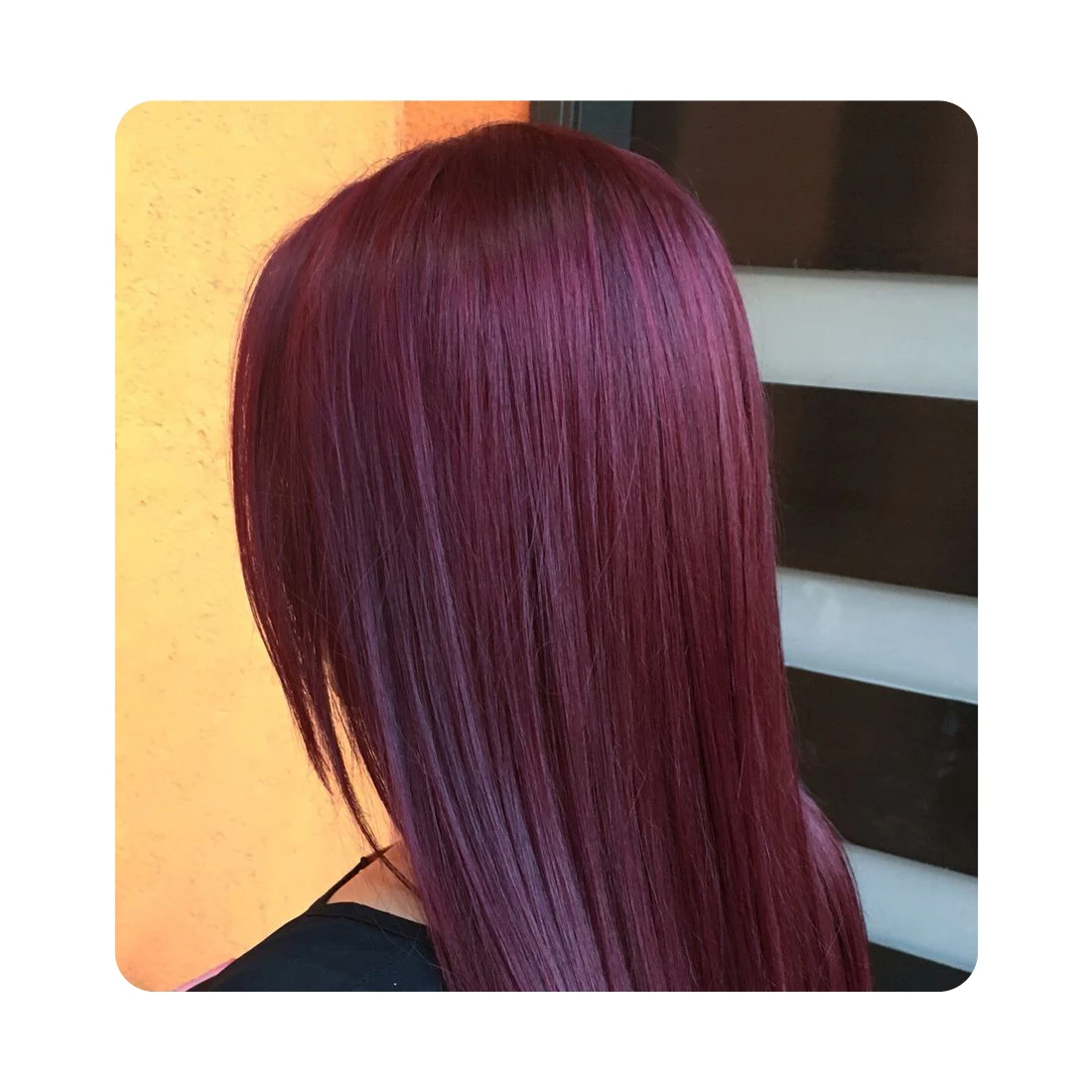 Best Indian Henna Powder Burgundy Hair Color Manufacturer OEM private label powder form hair care and styling