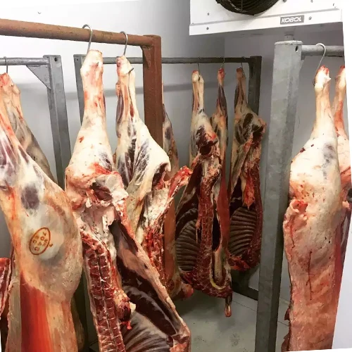 Halal Sheep Fresh Chilled Meat Fresh/chilled Frozen Fresh Halal Lamb Meat Sheep Meat