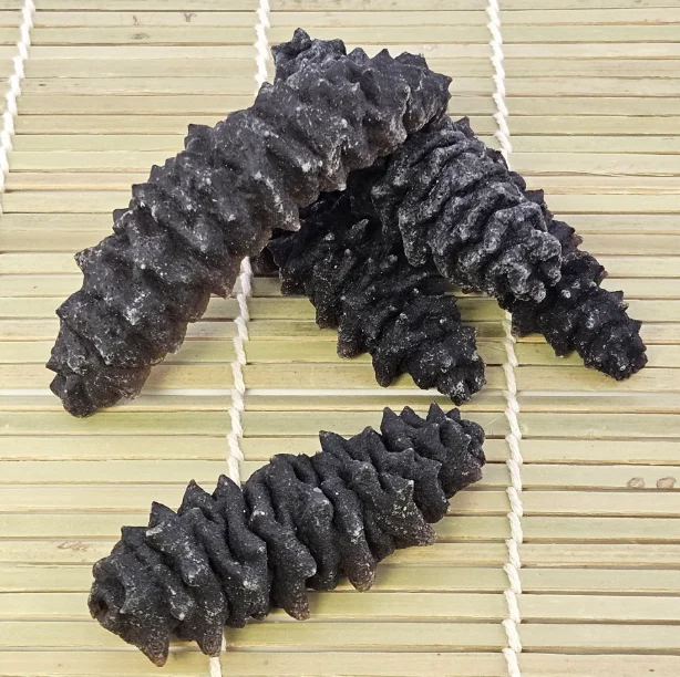 In Stock Dried Sea Cucumber Seafood Bulk Ready for Export Buy Now Wholesale Supplier Cheap Price