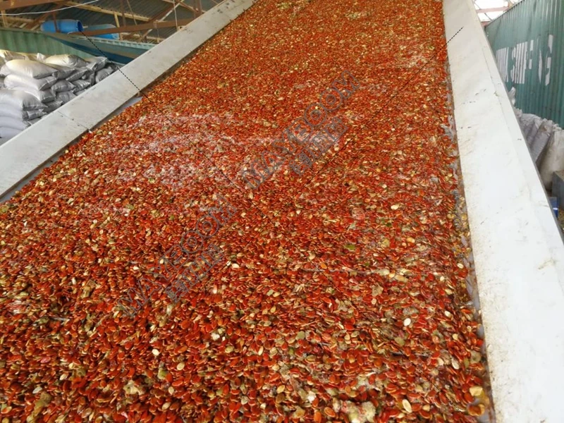 sunflower seeds air dryer 