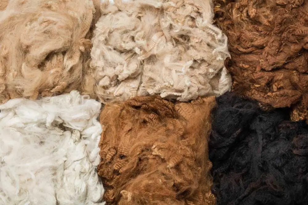 Best quality Alpaca wool from Peru Top Supplier