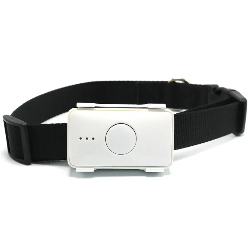 Hot Sale Anti-lost Alarm Locator Finder Mini 4G GPS Dog Tracker Wholesale Tractive Gps Pet Tracker