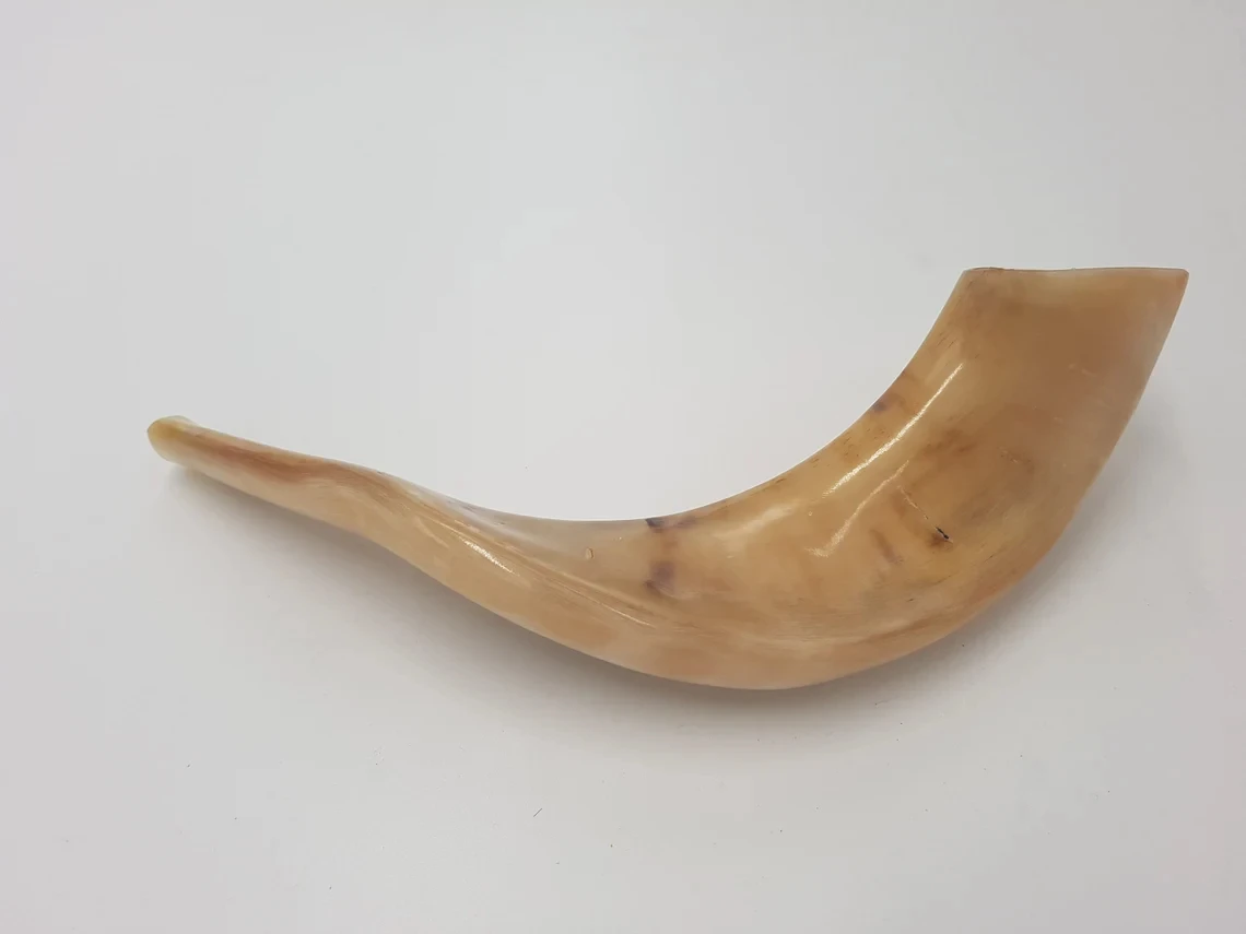 Polished Kudu Agate Shofar with Great Sound Traditional Religious Style Ram Horn Trumpet Music Style