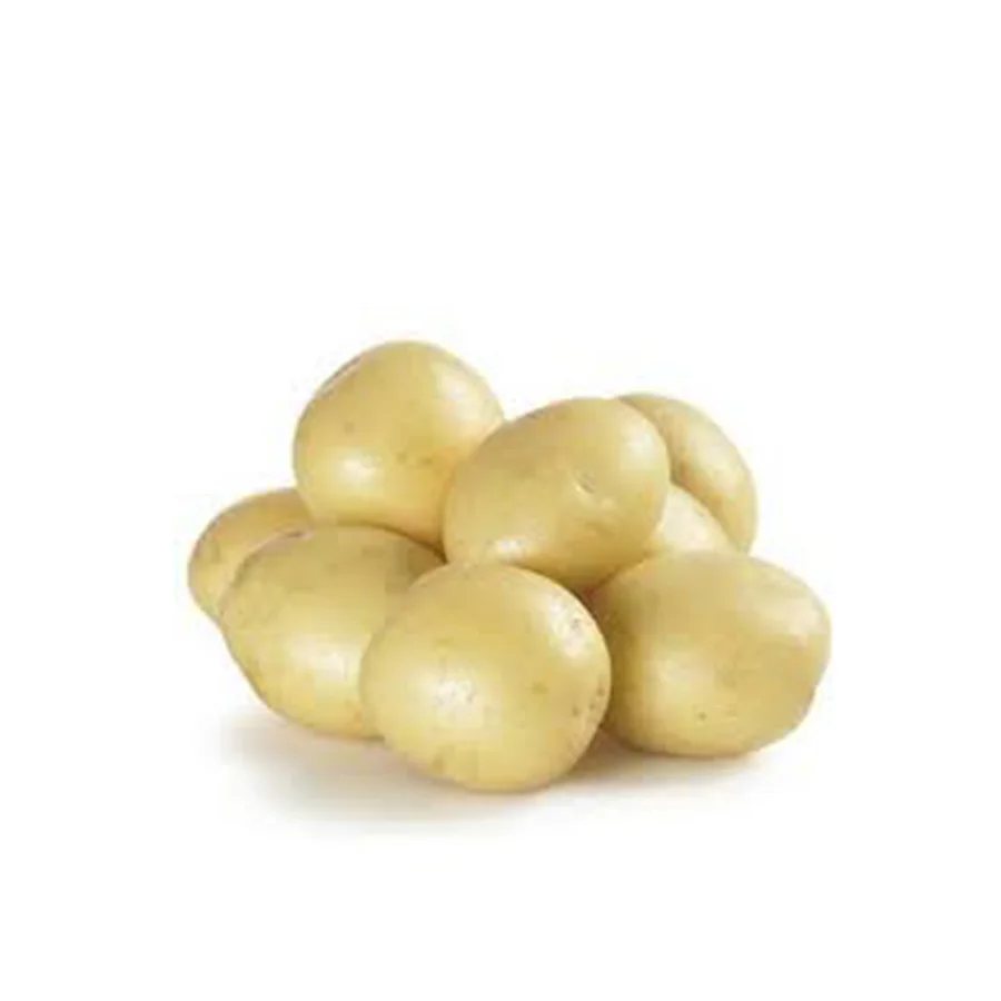 Buy Online Mozika Potato From Pakistan / Import Premium Quality Fresh Potatoes