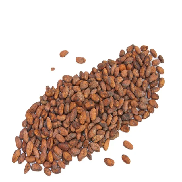 export and import cocoa premium quality High fat cocoa \High Quality Cocoa Beans - Cacao Beans - Chocolate bean