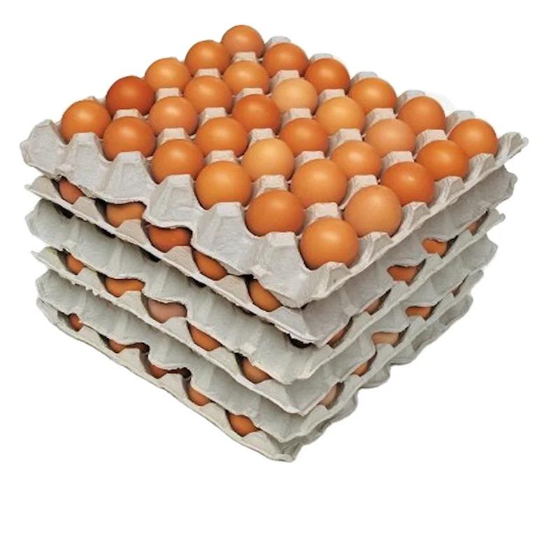 FARM FRESH CHICKEN TABLE EGGS FERTILE/ HATCHING CHICKEN EGG/ BROILER CHICKEN EGGS