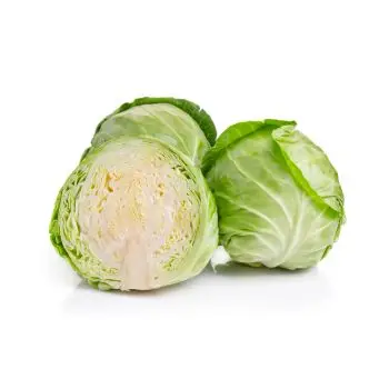 Wholesale Fresh Cabbage Good Quality Vegetables Dried Cabbage Fresh White