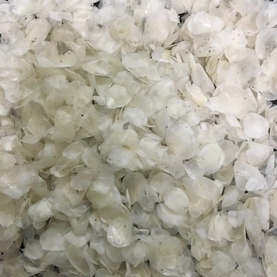 Dried Tilapia Scale / Agriculture Waste / Fish Scale