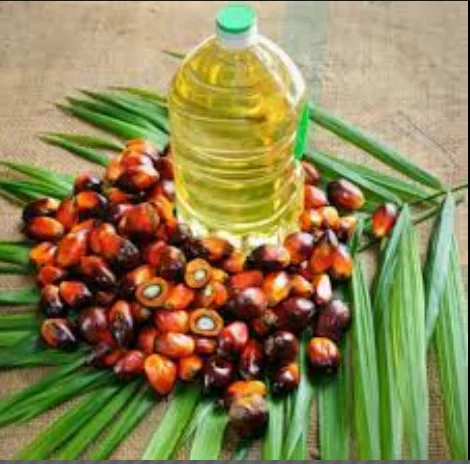 Premium Cooking Oil Supplier Palm Oil RBD PALM OLEIN CP10-CP8-CP6 Olein