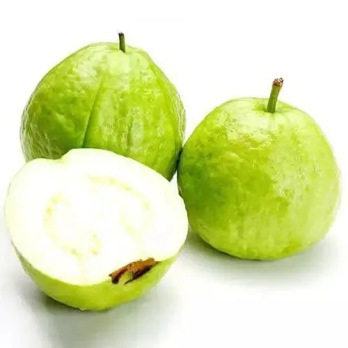 GUAVA Max Bag Green Sweet Style Packing Organic Color Weight Skin Method Natural ORIGIN Type Shape FLESH Quality Size Product