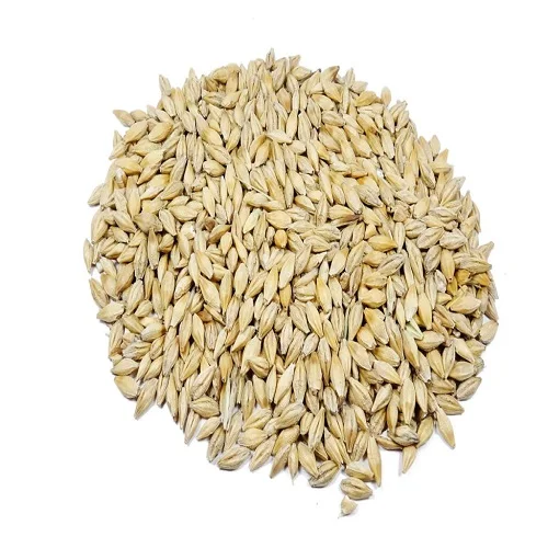 Премиум Высокое качество корма для животных ячменя