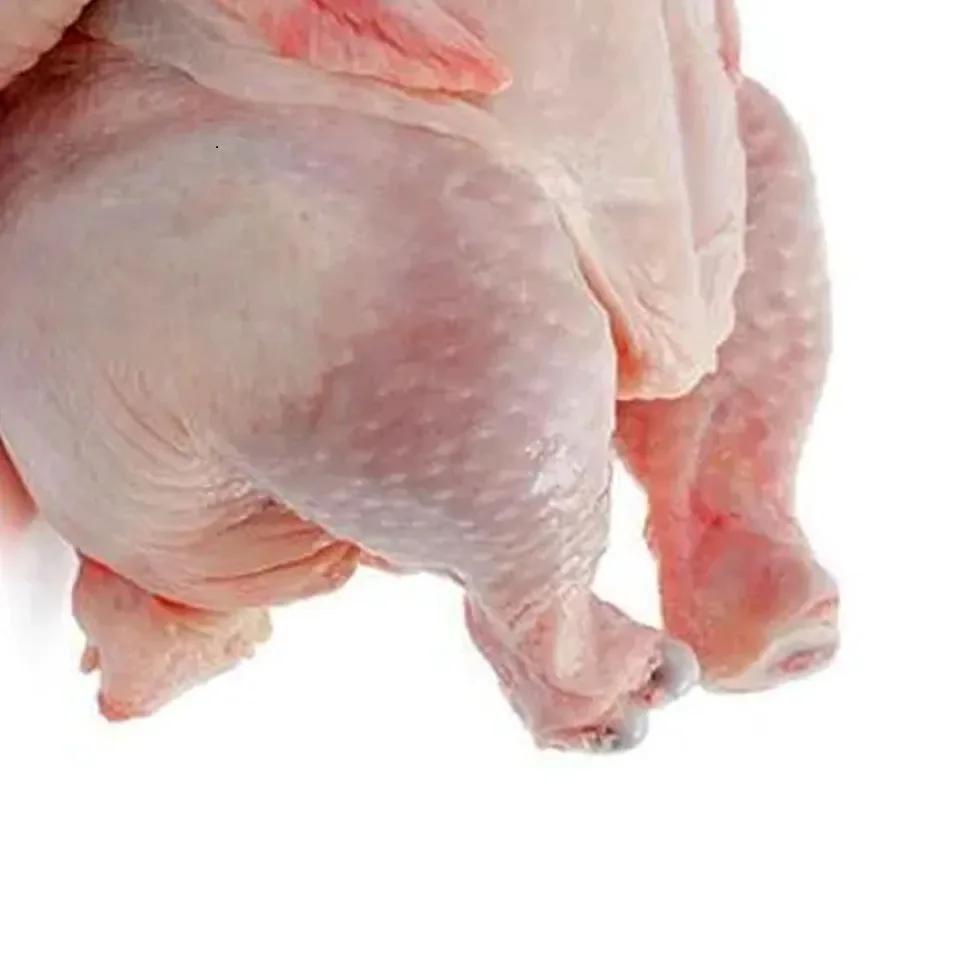 Food grade HALAL certified vacuum packing products from manufacturer whole chicken body carcass for food