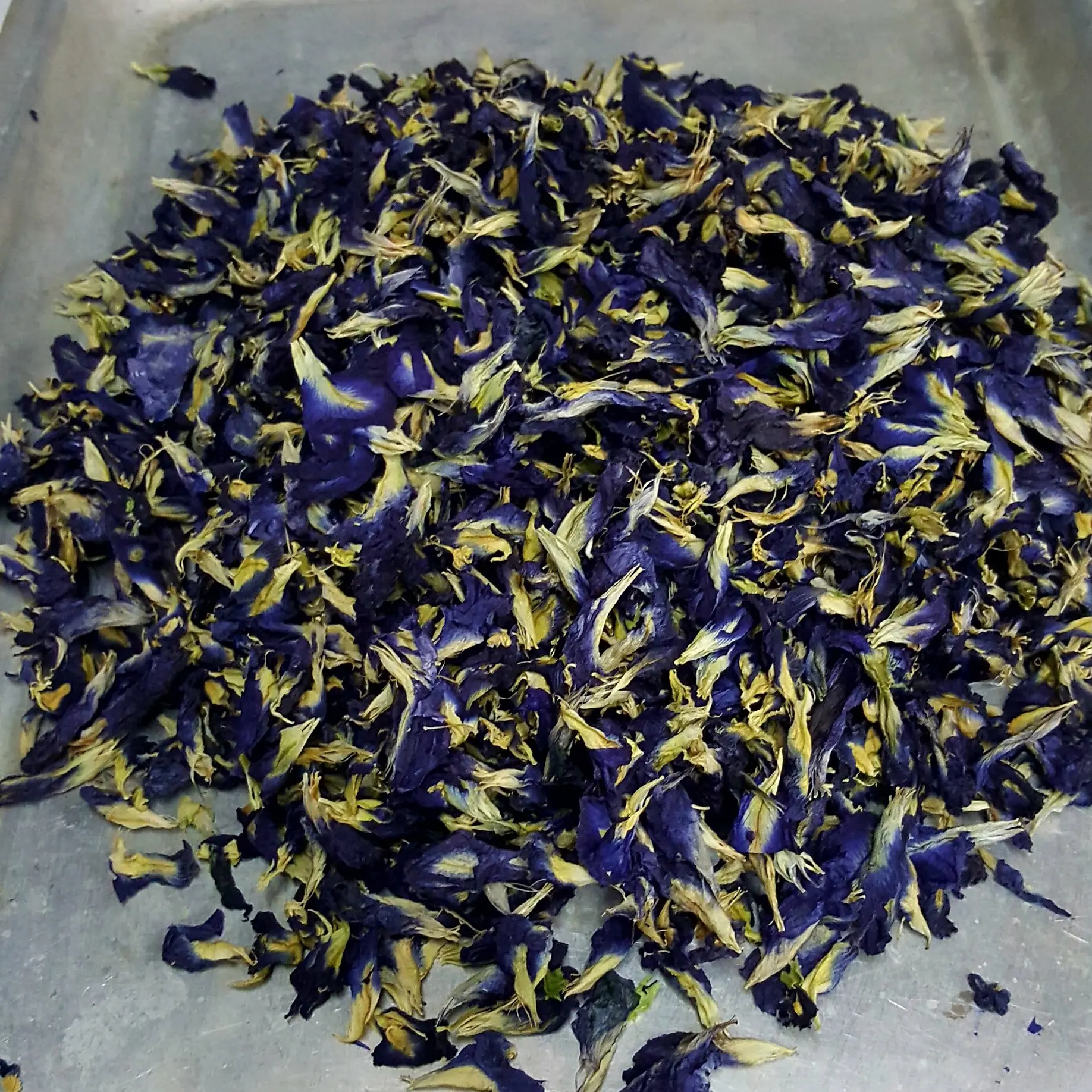 Dried Butterfly Pea Tea / Bunga Telang kering