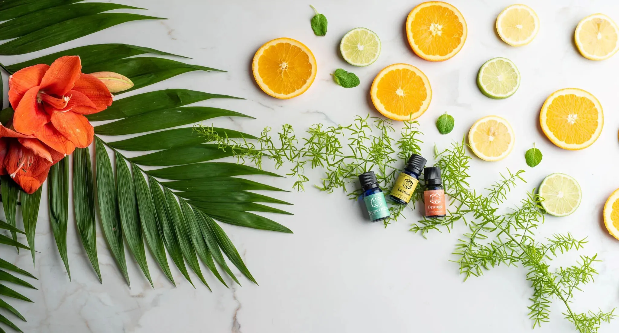 Hot sale 100% pure natrual wholesale 6pcs/sets essential oil gift sets