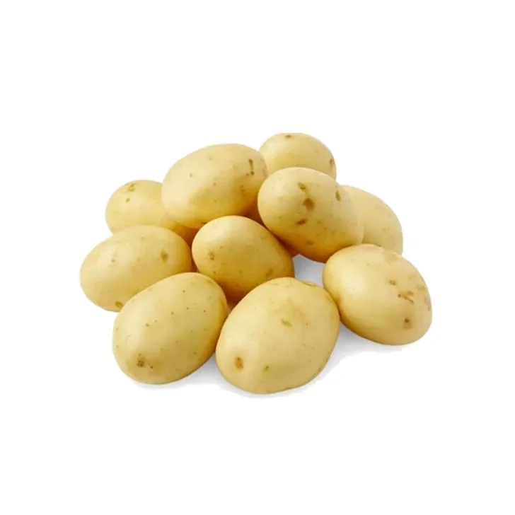 Fresh Potatoes 100% High Quality Export Oriented Low Price For Wholesale Price Fresh Potato From Bangladesh