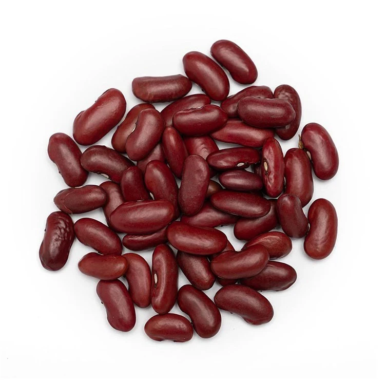 Wholesale Supplier Best Quality Red kidney Beans For Sale In Cheap Price Best Quality Red kidney Beans For Sale In Cheap Price