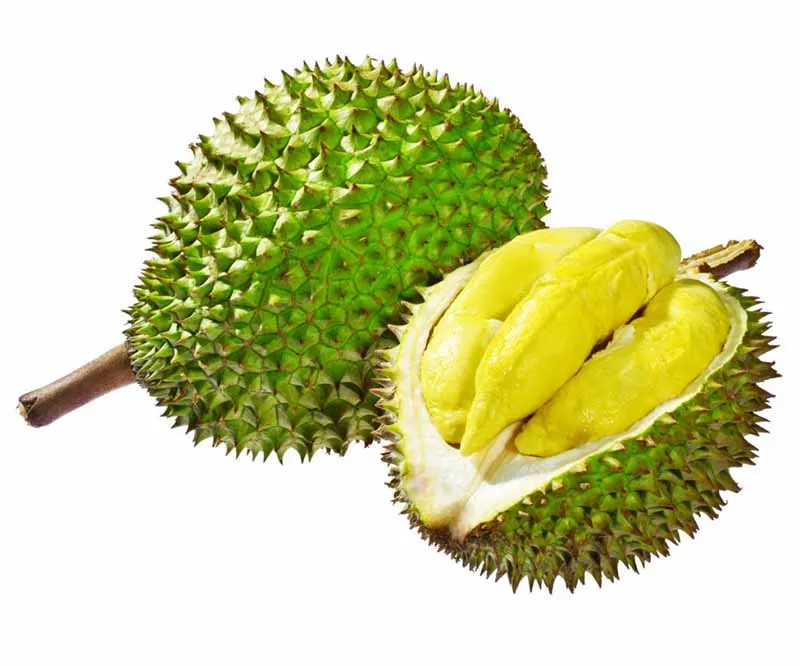 For Sale Frozen Durian From Viet Nam 100% Natural Fresh High Quality Best Price For Wholesale