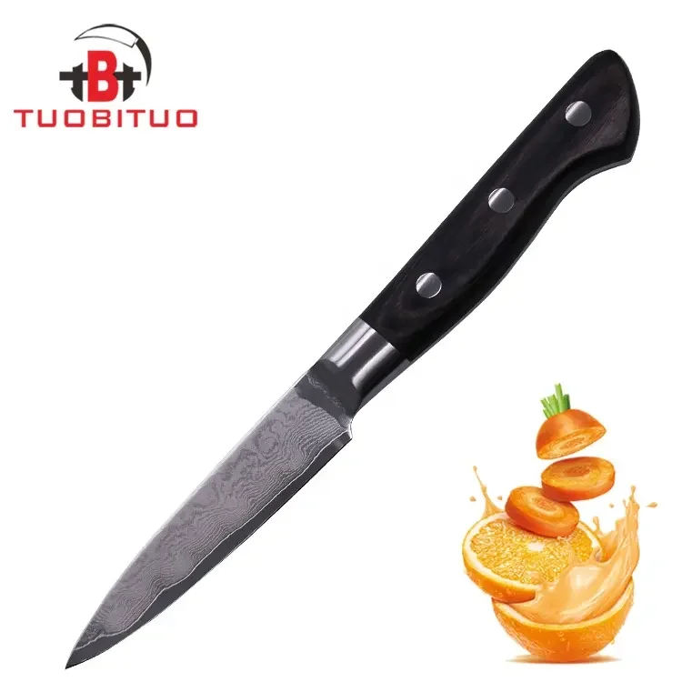 Cuchillos De Cocina Acero Damasco Japanese Aus10 Damascus Steel 3.5 Inch Kitchen Fruit Paring Knife With Pakka Wood Handle