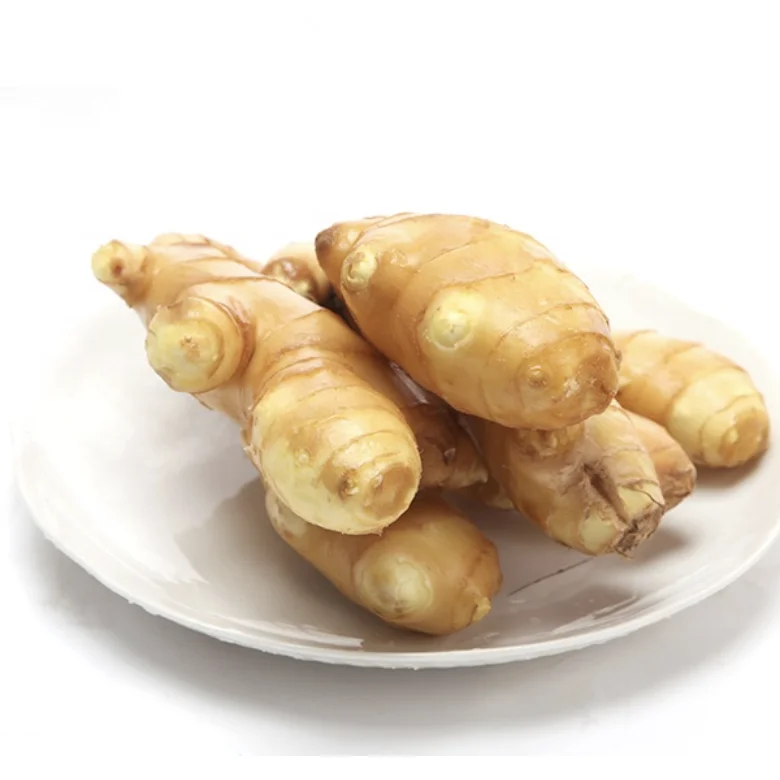 Excellent Quality 100% Naturally Fresh Ginger/Zingiber High in Antioxidants, Vitamins and Minerals (WhatsApp: +84 366 808 683)