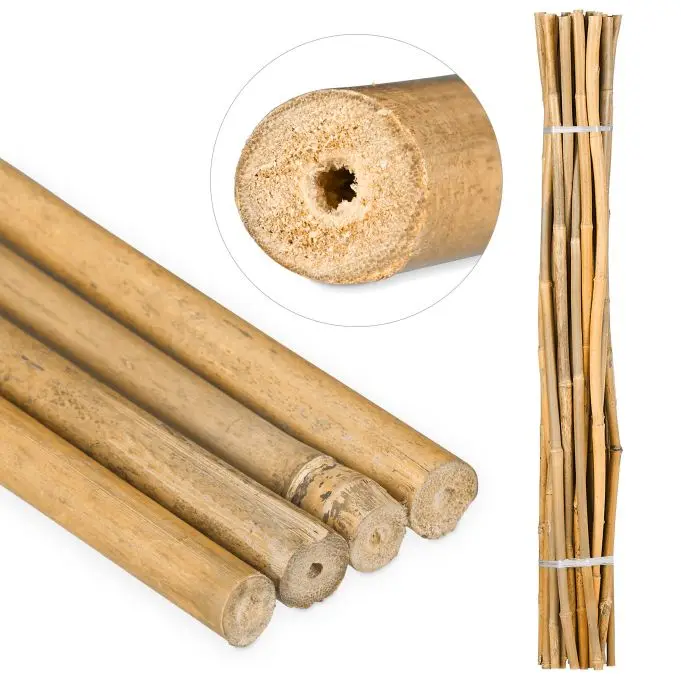 Natural Flexible Bamboo Stake Gardening/ Bamboo Cane Stick For Using Agriculture Made in Vietnam Export by Eco2go Manufacturer